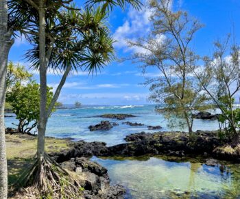 Hilo Tide Pools 3