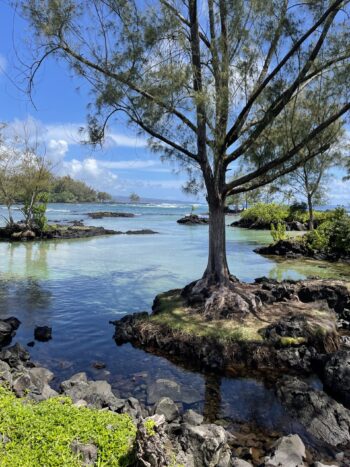 Hilo Tide Pools 2