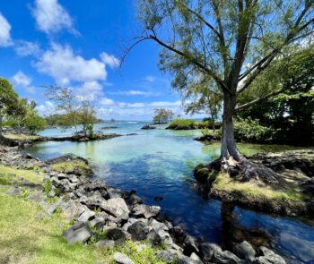 Hilo Tide Pools 1