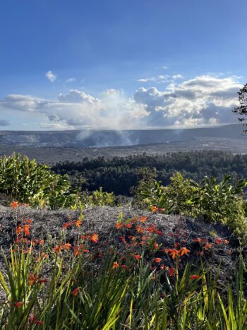 Flowers and the Kilauea Caldera