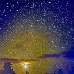 Venus Dominating the Eastern Horizon