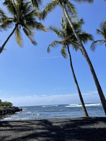 Punalu’u Black Sand Beach